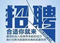 中财财税8-15万年薪聘精英人才！！！